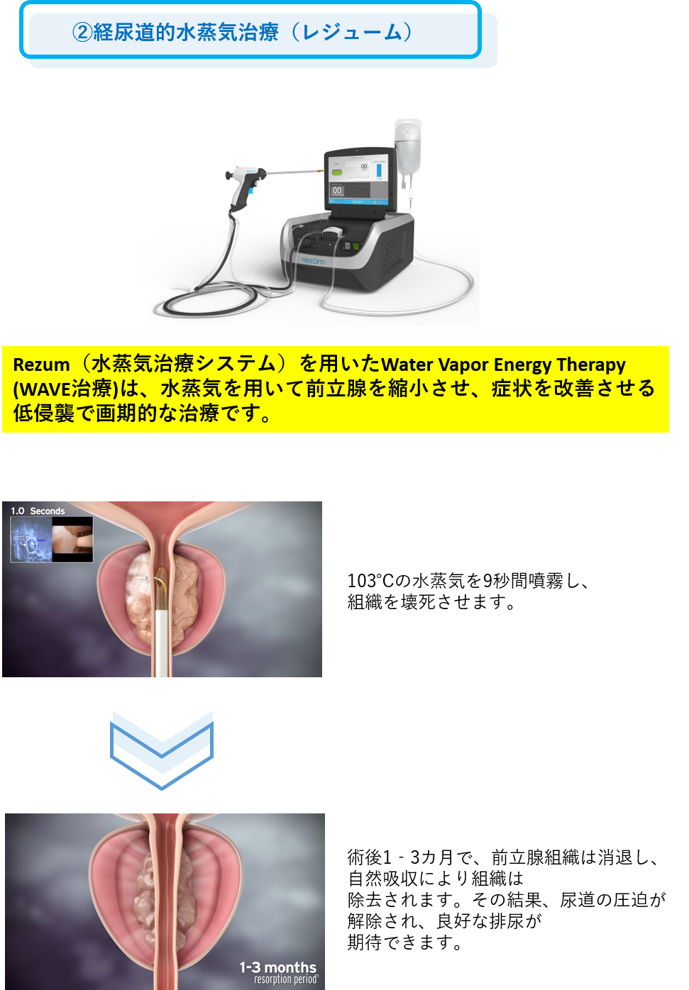 a330886f42eb6c1118f6ce31dbaca116-1790250143.png