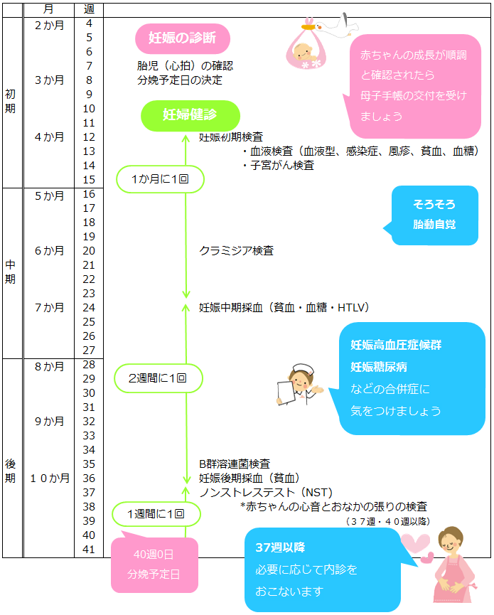 妊婦健康診断について